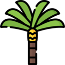 nature,tropical,palm tree,island,oasis,desert,palm ok 